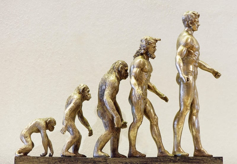 Robotics Evolution